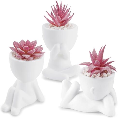 Der Rose 3pcs العصارة المزيفة نباتات مصطنعة للأسود غرفة نوم غرفة نوم منزلية ديكور الجمالية الداخلية in Kuwait