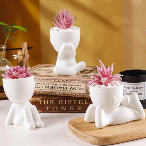 Der Rose 3pcs العصارة المزيفة نباتات مصطنعة للأسود غرفة نوم غرفة نوم منزلية ديكور الجمالية الداخلية in Kuwait