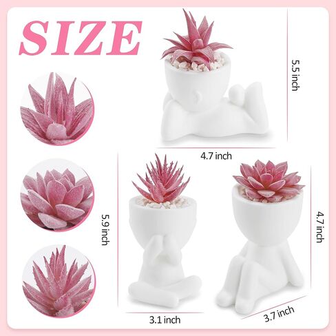 Der Rose 3pcs العصارة المزيفة نباتات مصطنعة للأسود غرفة نوم غرفة نوم منزلية ديكور الجمالية الداخلية in Kuwait