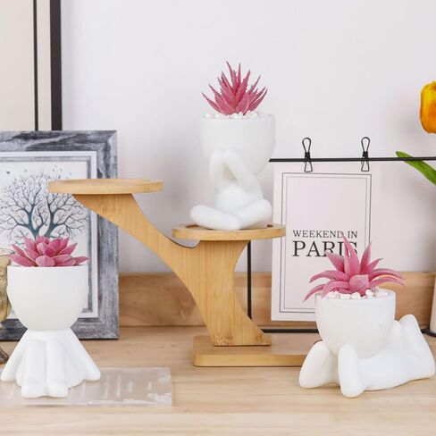 Der Rose 3pcs العصارة المزيفة نباتات مصطنعة للأسود غرفة نوم غرفة نوم منزلية ديكور الجمالية الداخلية in Kuwait
