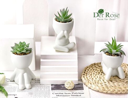 Der Rose 3pcs العصارة المزيفة نباتات مصطنعة للأسود غرفة نوم غرفة نوم منزلية ديكور الجمالية الداخلية in Kuwait