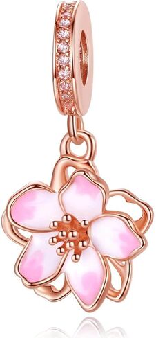 10 Pack Silver Charms for Pandora Bracelets and Necklaces Charms for Women CZ Pendant Jewelry Charm Set in Kuwait