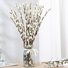 فروع Pussywillow المجففة الطبيعية للمزهريات ، 15 سيقان من الصفصاف الحقيقي ، 17 بوصة ثلج Pussywillows ، الزهور المجففة للديكور الداخلي والخارجي ، منزل زفاف الأزهار الأزهار المدفأة