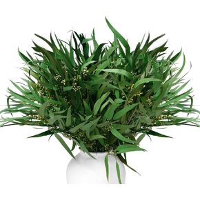 16'' Real Dried Seeded Eucalyptus Stems for Shower, Preserved Natural Eucalyptus Leaves with Seeds, Preserved Greenery Branches for Arrangement, Wedding, Office, Farmhouse, Home Decor(5oz)