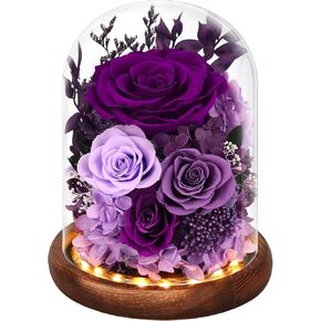 Forever Preserved Real Flowers for Delivery Prime, Eternal Fresh Roses in Glass Dome with LED Lights, Mothers Day Gifts for Mom, Her, Wife, Grandma, Daughter, Women, Girlfriend, Birthday, Red