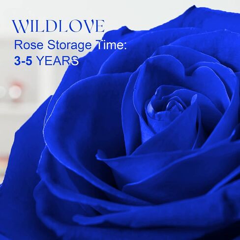 WILDLOVE Forever Real Rose with Heart Necklace, Preserved Flowers Gifts for Mom, Wife and Girlfriend on Christmas, Mother's Day, Birthday for Women in Kuwait