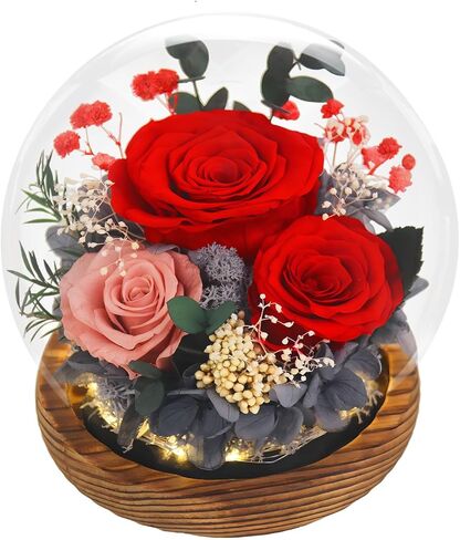 Mothers Day Birthday Gifts for Mom Women Preserved Flowers in Glass Dome Forever Fresh Flowers for Delivery Prime Long-Lasting Eternal Roses Gifts for Grandma Sister Daughter Wife Her Purple in Kuwait