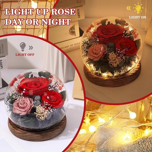 Mothers Day Birthday Gifts for Mom Women Preserved Flowers in Glass Dome Forever Fresh Flowers for Delivery Prime Long-Lasting Eternal Roses Gifts for Grandma Sister Daughter Wife Her Purple in Kuwait