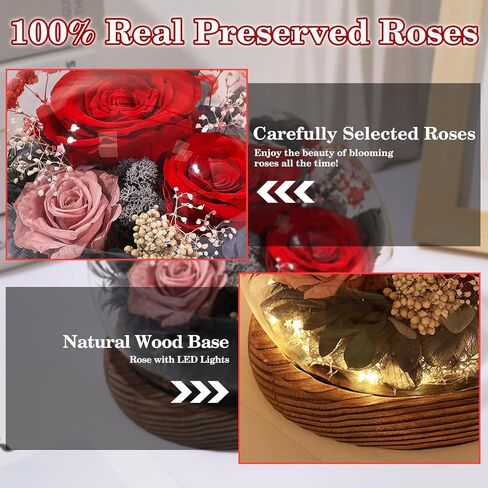 Mothers Day Birthday Gifts for Mom Women Preserved Flowers in Glass Dome Forever Fresh Flowers for Delivery Prime Long-Lasting Eternal Roses Gifts for Grandma Sister Daughter Wife Her Purple in Kuwait