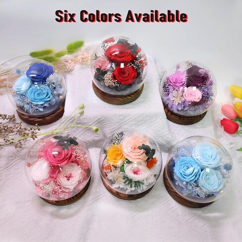 Mothers Day Birthday Gifts for Mom Women Preserved Flowers in Glass Dome Forever Fresh Flowers for Delivery Prime Long-Lasting Eternal Roses Gifts for Grandma Sister Daughter Wife Her Purple in Kuwait