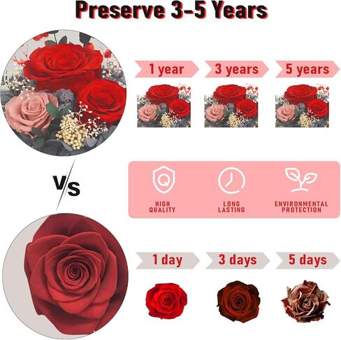 Mothers Day Birthday Gifts for Mom Women Preserved Flowers in Glass Dome Forever Fresh Flowers for Delivery Prime Long-Lasting Eternal Roses Gifts for Grandma Sister Daughter Wife Her Purple in Kuwait