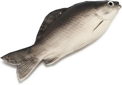 Blueshyhall Car Antenna Topper Funny Fish Aerial Exterior Decoration Auto Accessory Decor for Vehicles SUV Trunk in Kuwait