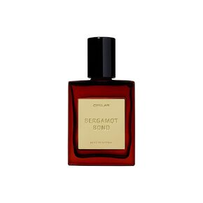 Perfume Oil Roll-On. Travel-Friendly Modern Patchouli Fragrance with Bergamot, Verbena, and Cashmere. Long-Lasting Essential Oil Parfum for Women and Men. 0.5 Fl Oz Scented Rollerball Bottle