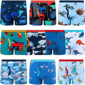 Big Elephant Boys 'Boxer Boxer Boxer 10 Packs ، Toddler 100 ٪ Cotton Dinosaur Brint Intelder ، Soft and Breatable ، أحجام 3T-10y