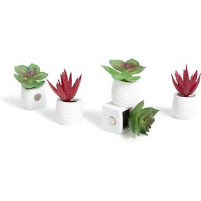U Brands Mini Flower Magnets Set, Office Supplies, Pink and Cream, 12 Count