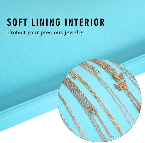Necklace Organizer Box Premium 20 Hooks Velvet Necklace Display Jewelry Tray with Transparent Lid Jewelry Necklace Display Box for Necklace Pendants Suitable for Women and Girls (Black) in Saudi Arabia