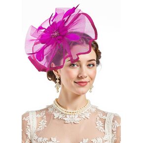 Zando 2025 Kentucky Feather Mesh Fascinators Derby Hats for Women Girls with Clip and Headband Tea Party Wedding Cocktail Hat