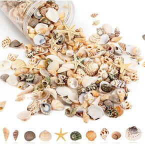 Tiny Sea Shells & 6 Starfish Decor Mixed Ocean Beach Spiral Seashells for Home Decor, Wedding,Decor, Beach Decor, Vase Filler, Ocean Theme Decor,Fish Tank, Making DIY Ornaments