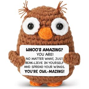 Funny Owl Crochet, Crocheted Animals as Owl Decor, Unique Birthday Gift, Inspirational Gifts for Women Men, Cute Crochet Plushies for Friends, Family, Coworkers, Cheer Up Gifts for Women