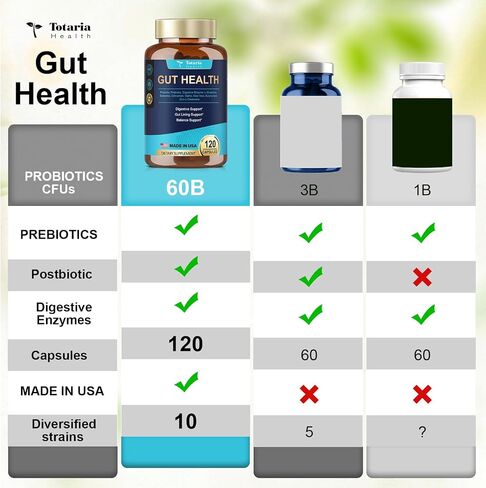 4-in-1 Gut Health Supplement with Probiotics, Prebiotics, Postbiotics & Digestive Enzymes for Women & Men, 60 Billion CFU Probiotics for Gut and Digestion, Strong Immunity, Skin (120 Capsules) in Kuwait