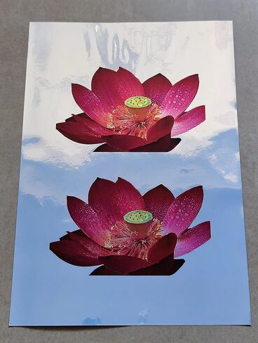 GLOSSY GOLD-20 Sheets A4 Size（8.26"x11.7") Printable Glossy Gold Vinyl Waterproof Sticker Paper Premium Adhesive Sheets Ink Dries Quickly For Inkjet/Laser Printer in Saudi Arabia