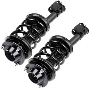 1 Pair Front Strut and Coil Spring Assembly Compatible with 2005-2010 Kia Sportage Includes Front Left & Right Strut Coil Spring Replacement Part Numbers 172220 172219 Srt of 2