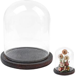قبة زجاجية مع قاعدة للعرض ، الجرار الخشبية Cloche Bell Swars 5.9 "× 7.87" تغطية الحالات الكبرى جيب Terrarium Cloches لمشاهدة زهرة البلاستيك الصغيرة الشمعة النباتية الزخرفية منزل حفل زفاف
