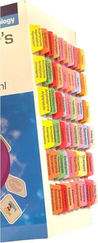Book Tabs for Desk Reference to The Diagnostic Criteria from DSM-5-TR. Laminated, Color-Coded, and Removable with Alignment Card for Easy Installation (Book not Included) in Kuwait