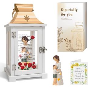 هدايا عيد ميلاد يوم الأمهات من الابن ، هدايا لأمي من الابن ، الأمهات البارد من الابن ، عيد الشكر والفانوس التمييز in Kuwait