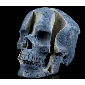 Skullis 5.0 "Blue Sponge Coral Super Super Crystal Skull ، Wand Gemstone Gemstone Sculpture ، Reiki Healing Stone تمثال.