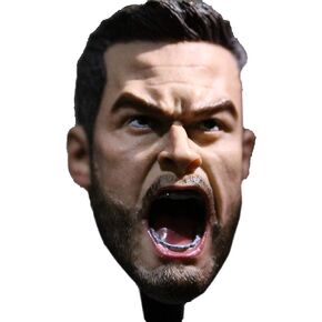 Phicen Custom Head Sculpt for 1/6 Scale Male Body