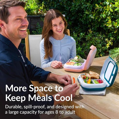 Bentgo Chill Max Leak-Proof XL Lunch Box - Included Ice Pack Keeps Food Cold; 5-Cup Capacity for Adults & Ages 8+, 3 or 4 Compartment Bento Box, BPA-Free, Dishwasher Safe (Lavender & Peach Blossom) in Kuwait