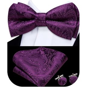Dubulle Mens Paisley Striped Bowtie Set Pre-tied Bowtie for Men and Pocket Square Set Wedding Business
