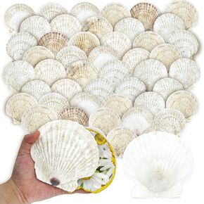 50pcs قذائف الأسقلوب للحرف الكبيرة 4 ''-5 '