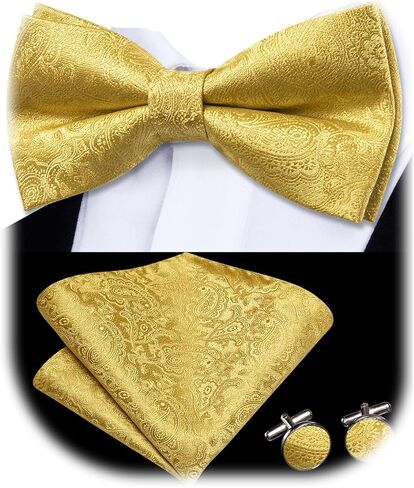 Dubulle Mens Paisley Striped Bowtie Set Pre-tied Bowtie for Men and Pocket Square Set Wedding Business in Kuwait