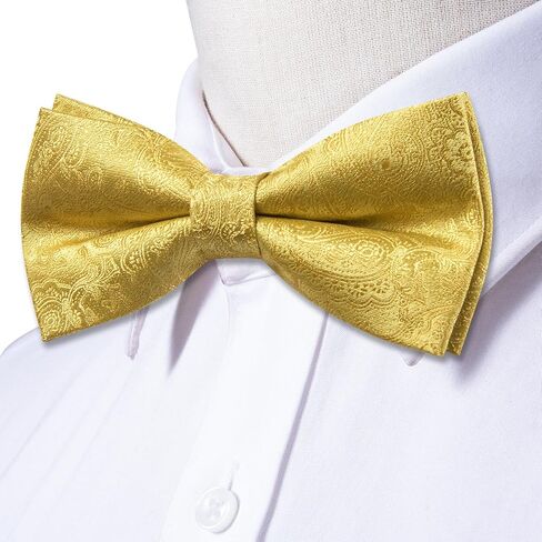 Dubulle Mens Paisley Striped Bowtie Set Pre-tied Bowtie for Men and Pocket Square Set Wedding Business in Kuwait