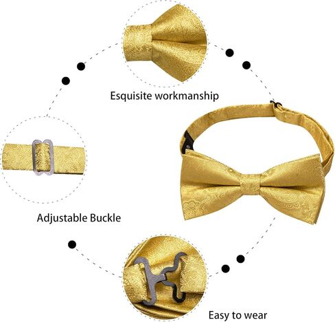 Dubulle Mens Paisley Striped Bowtie Set Pre-tied Bowtie for Men and Pocket Square Set Wedding Business in Kuwait