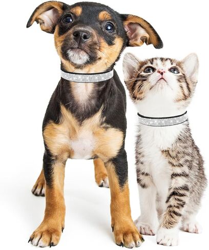 طوق الكلاب ، طوق الكلب من الكلاب بلينغ ، جلود جلدية قابلة للتعديل لترابط الكلاب للقطط الصغيرة المتوسطة كبيرة السلالات الكلاب ، الوردي in Kuwait