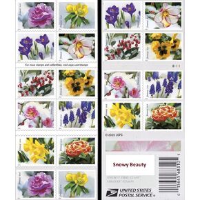 Snowy Garden Beauty Forever Self-Adhesive Postage Stamps, Wedding, Love, Celebration, Holiday, Winter, Flower (2 Booklets, 40 Stamps)