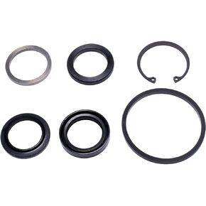 Sunsong 8401121 Steering Gear Pitman Shaft Seal Kit