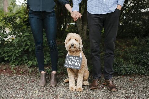 Pearhead Pet's Baby Announcement Chalkboard Photo Prop Sign, Mom & Dad are Getting me a Human! in Saudi Arabia