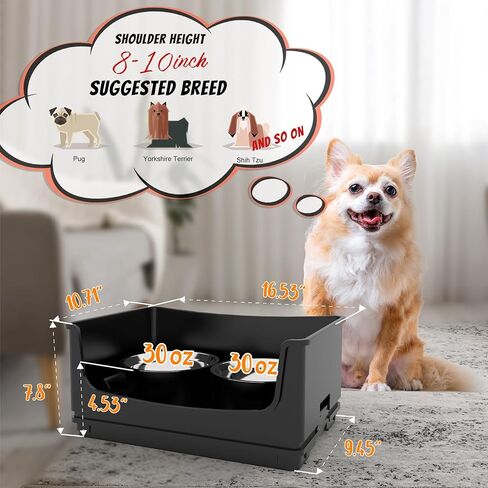 Mess Proof Dog Bowls, No Mess Dog Food and Water Bowl Set, No Spill Edge Pet Feeder with 2 Stainless Steel Bowls for Small and Medium Dogs in Saudi Arabia