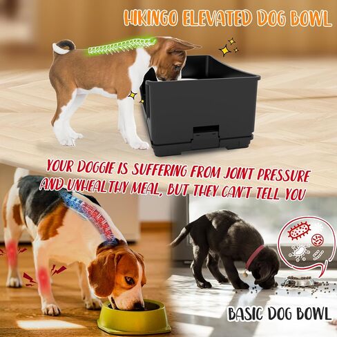 Mess Proof Dog Bowls, No Mess Dog Food and Water Bowl Set, No Spill Edge Pet Feeder with 2 Stainless Steel Bowls for Small and Medium Dogs in Saudi Arabia