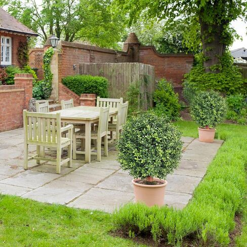 26 Inch Artificial Topiary Boxwood Ball Trees Outdoor – Set of 2 UV Resistant Faux Boxwood Topiary, Fake Potted Shrubs Evergreen for Front Door Porch Patio Balcony Home Decoration in Kuwait