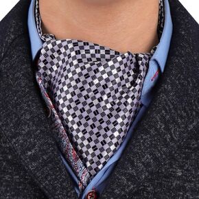 Epoint ERA7B01C Working Day Pretty Gift Silk Ascot Patterned Wedding Gift Giving Mens Cravat Buy For Wedding