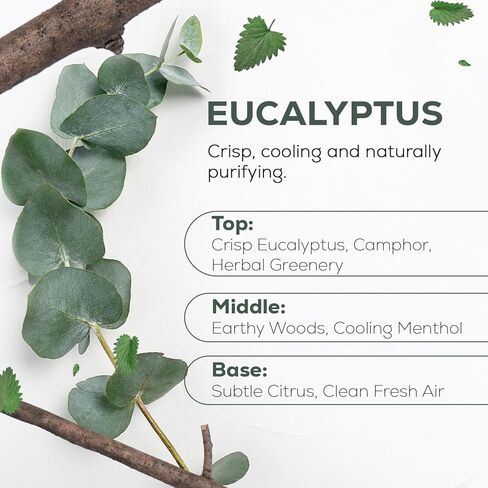 إعادة تعبئة زيت القرفة العطري/زيت ناشر القصب (8.5 أونصة سائلة.) لناشري القصب، وآلات توزيع الزيوت الكهربائية، وأجهزة تدفئة الزيت - زيت ناشر للعطلات طبيعي وعضوي in Kuwait