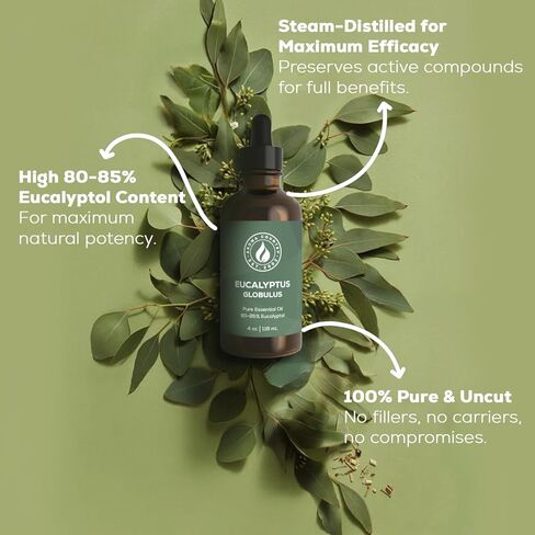 إعادة تعبئة زيت القرفة العطري/زيت ناشر القصب (8.5 أونصة سائلة.) لناشري القصب، وآلات توزيع الزيوت الكهربائية، وأجهزة تدفئة الزيت - زيت ناشر للعطلات طبيعي وعضوي in Kuwait