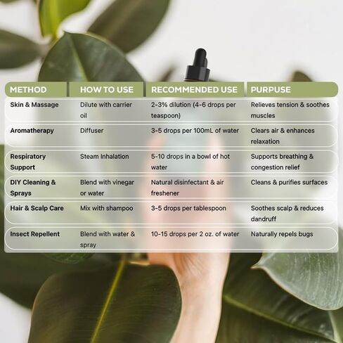 إعادة تعبئة زيت القرفة العطري/زيت ناشر القصب (8.5 أونصة سائلة.) لناشري القصب، وآلات توزيع الزيوت الكهربائية، وأجهزة تدفئة الزيت - زيت ناشر للعطلات طبيعي وعضوي in Kuwait