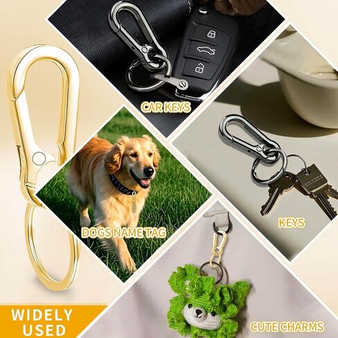 4 Pack Keychain, Metal Key Chain, Sturdy Key Ring, Key Rings Key Organizer Keychain Clip Key Chains for Men Women in Saudi Arabia
