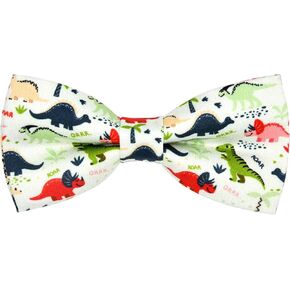 Dinosaur Boy Bow